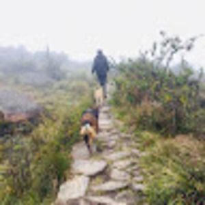 Meet your Posher, Candice marie